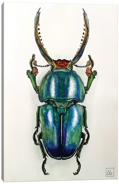 Blue Bug Canvas Art Print - Beetle Art