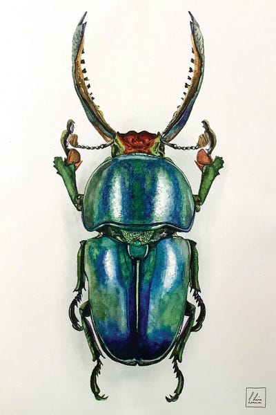 Lisa Lennon: Blue Bug by Lisa Lennon