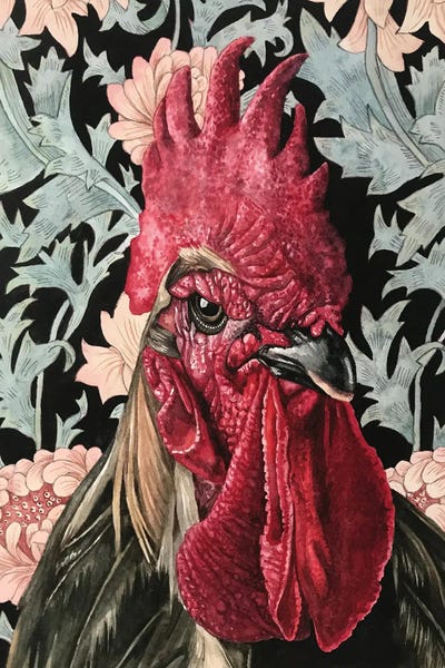 Rooster by Lisa Lennon canvas print