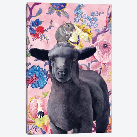 Black Sheep Canvas Print #LNN2} by Lisa Lennon Art Print