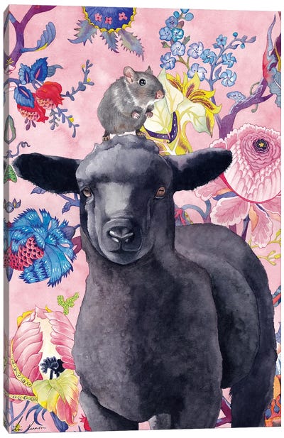 Black Sheep Canvas Art Print - Lisa Lennon