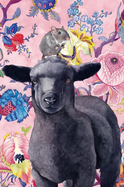 Lisa Lennon: Black Sheep by Lisa Lennon