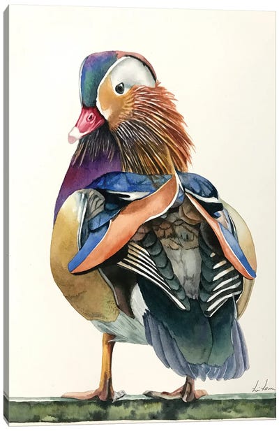 Mandarin Duck Canvas Art Print - The Art of the Feather