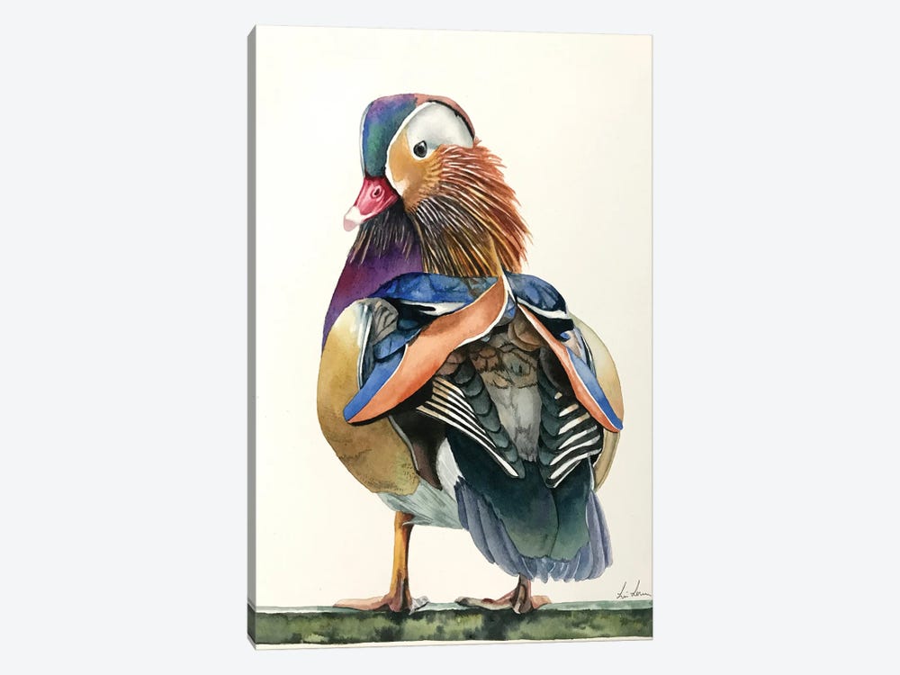 Mandarin Duck by Lisa Lennon 1-piece Canvas Art
