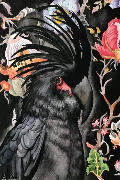 Palm Cockatoo by Lisa Lennon framed wall art