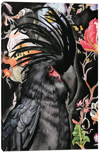 Palm Cockatoo Canvas Art Print - Lisa Lennon
