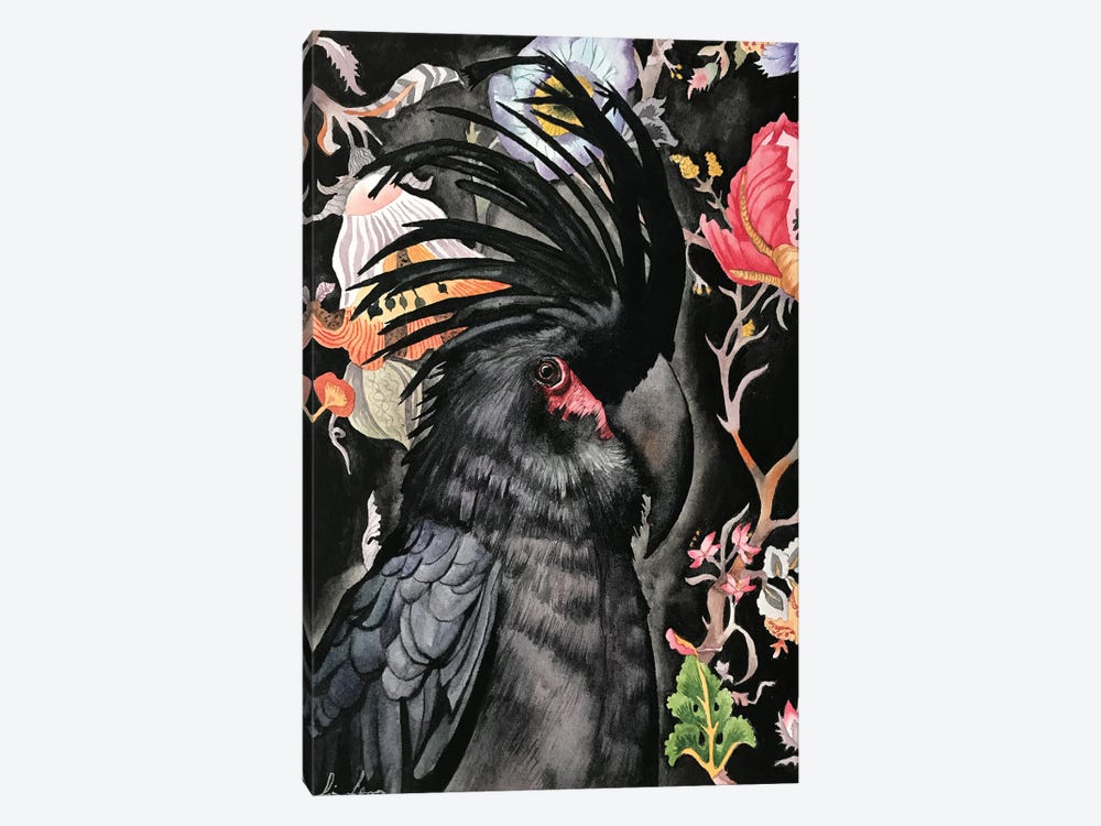 Palm Cockatoo by Lisa Lennon 1-piece Canvas Wall Art