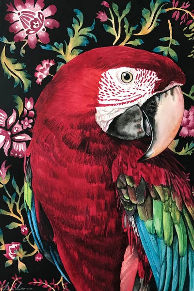 Macaw Parrot by Lisa Lennon canvas print