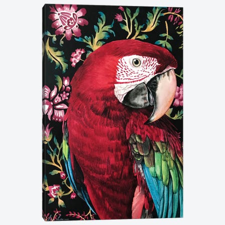 Macaw Parrot Canvas Print #LNN36} by Lisa Lennon Art Print