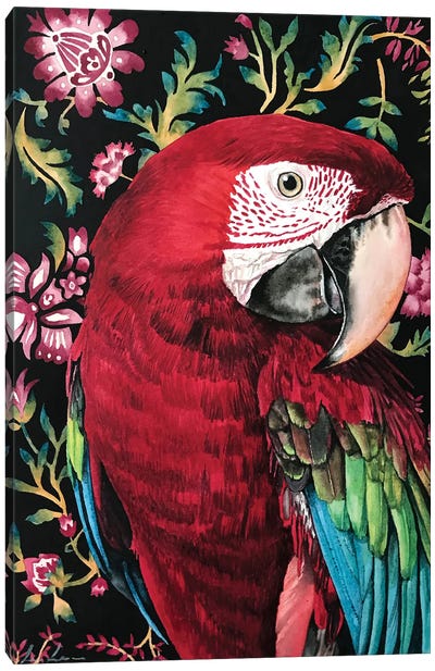 Macaw Parrot Canvas Art Print - Funky Fine Art