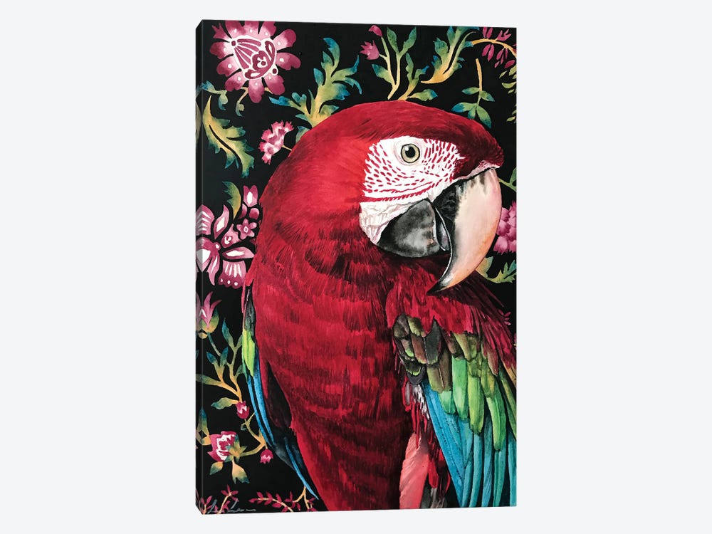 Macaw Parrot by Lisa Lennon 1-piece Canvas Print