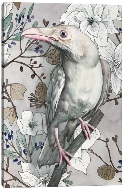 White Raven Canvas Art Print - Lisa Lennon