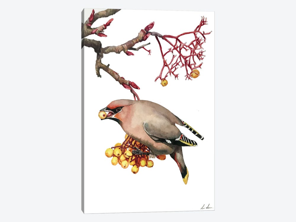 Waxwing by Lisa Lennon 1-piece Canvas Artwork