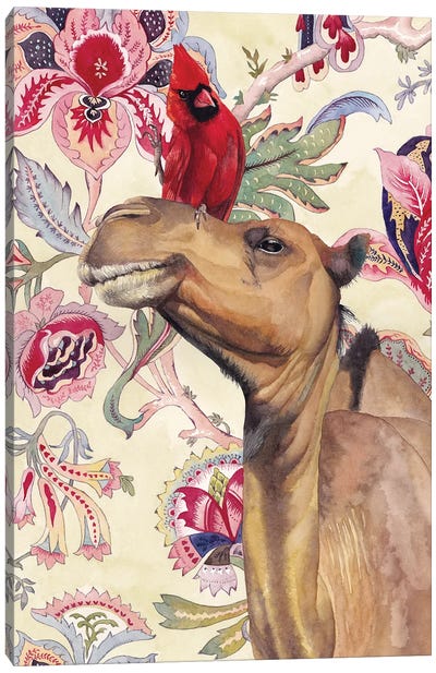 Camel Canvas Art Print - Lisa Lennon