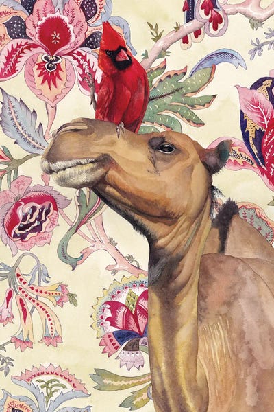 Camels: Camel by Lisa Lennon