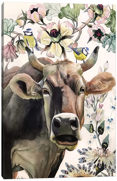 Cow Canvas Art Print - Lisa Lennon
