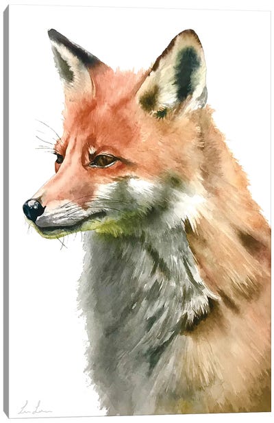 Fox Canvas Art Print - Lisa Lennon