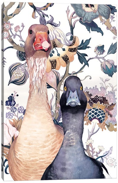 Goose And Duck Canvas Art Print - Lisa Lennon