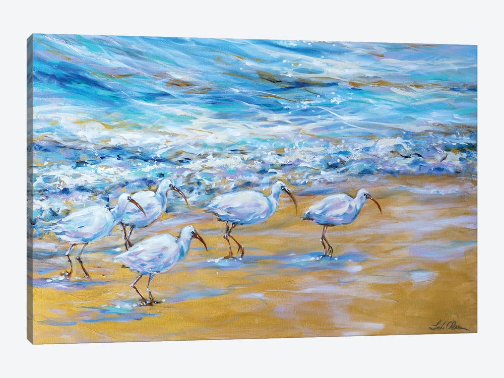 Ibis On The Edge Of The Surf by Linda Olsen 1-piece Canvas Print