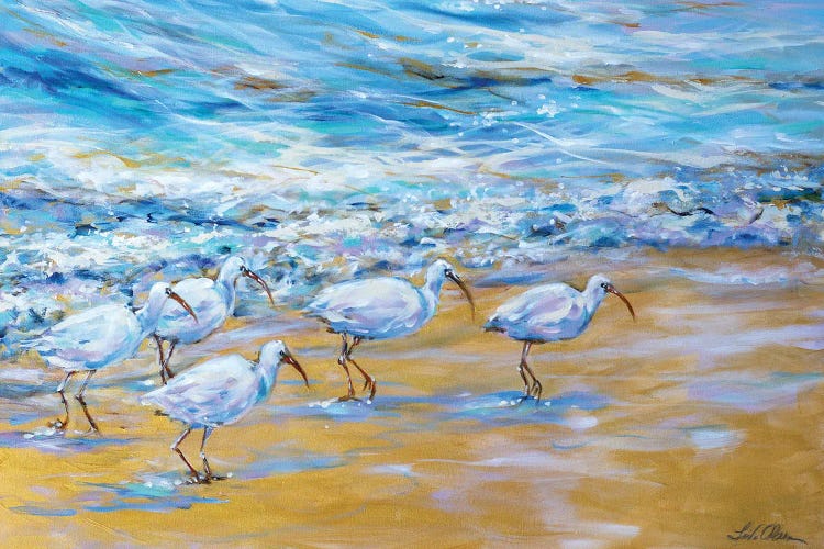 Ibis On The Edge Of The Surf by Linda Olsen wall art