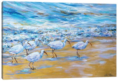 Ibis On The Edge Of The Surf Canvas Art Print - Linda Olsen