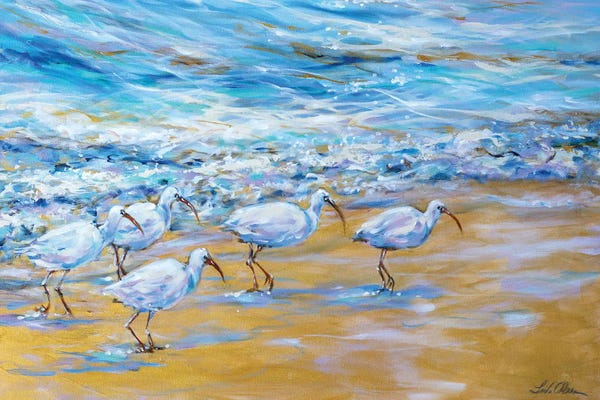 Contemporary Coastal: Ibis On The Edge Of The Surf by Linda Olsen