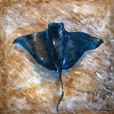 Manta by Linda Olsen framed canvas print