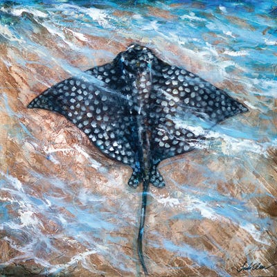 Spotted Ray by Linda Olsen framed canvas print