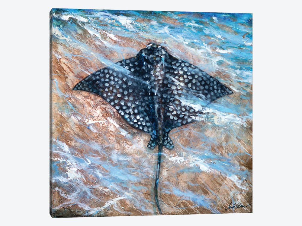 Spotted Ray by Linda Olsen 1-piece Canvas Art