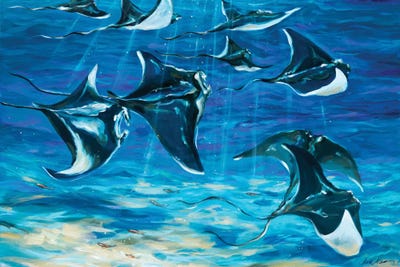 Gathering Rays by Linda Olsen framed canvas print