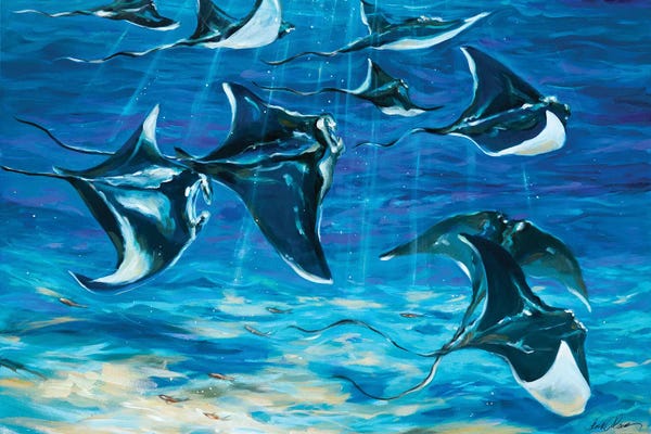 Rays: Gathering Rays by Linda Olsen