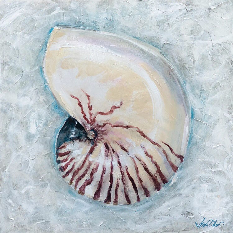 Nautilus by Linda Olsen wall art