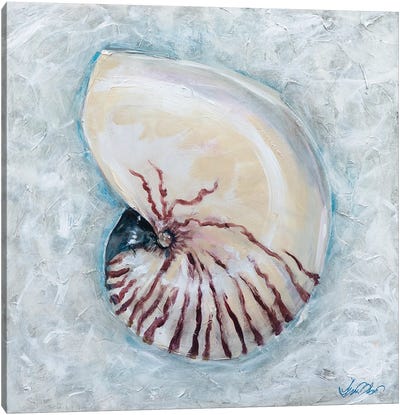 Nautilus Canvas Art Print - Linda Olsen
