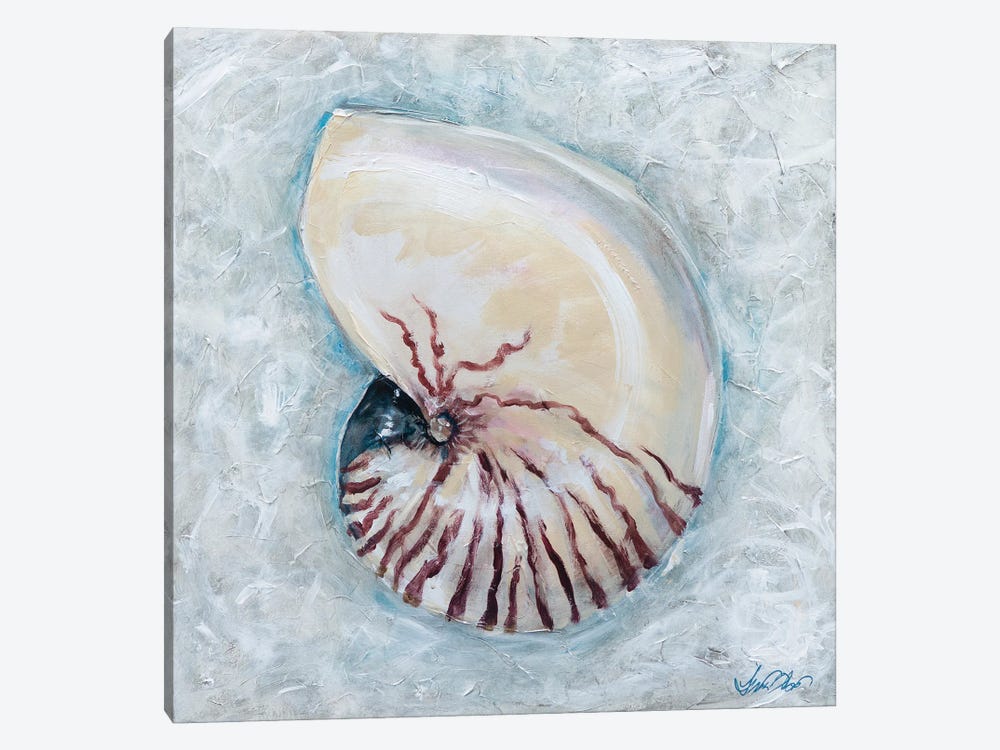 Nautilus by Linda Olsen 1-piece Art Print