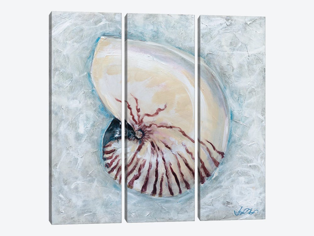Nautilus by Linda Olsen 3-piece Art Print