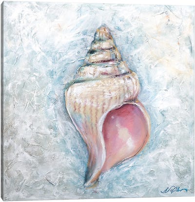 Shell Canvas Art Print - Sea Shell Art