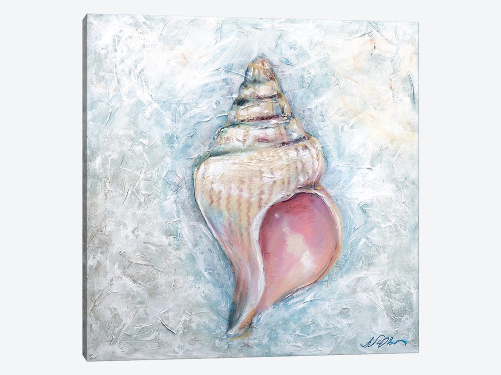 Shell by Linda Olsen 1-piece Canvas Artwork