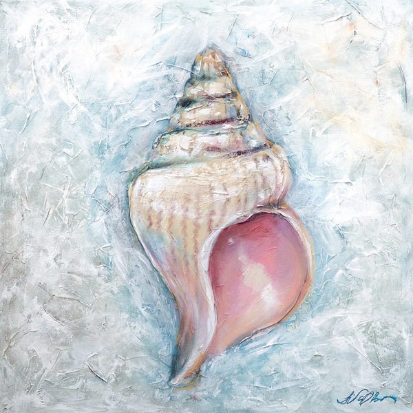 Sea Shells: Shell by Linda Olsen
