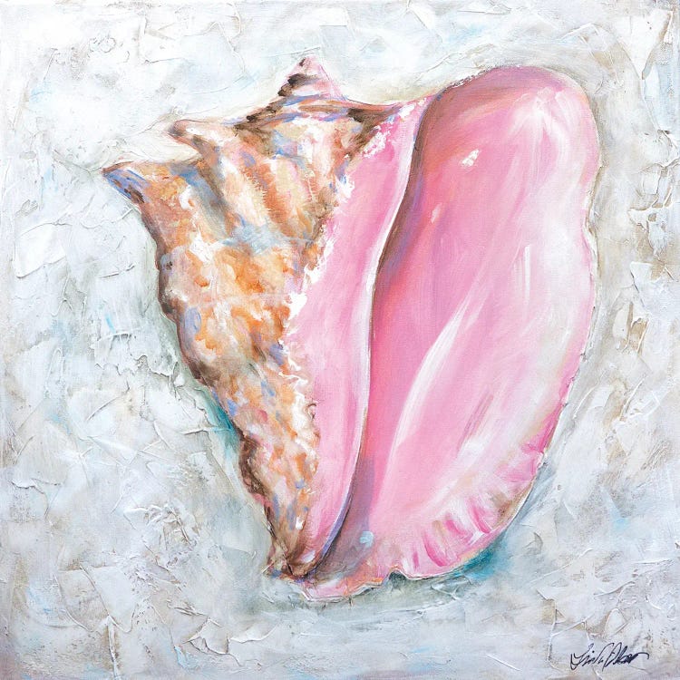 Queen Conch by Linda Olsen wall art