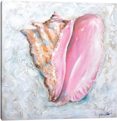 Queen Conch Canvas Art Print - Linda Olsen
