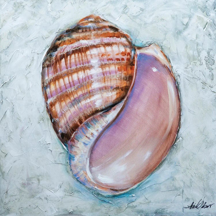 Shell Stripes by Linda Olsen wall art