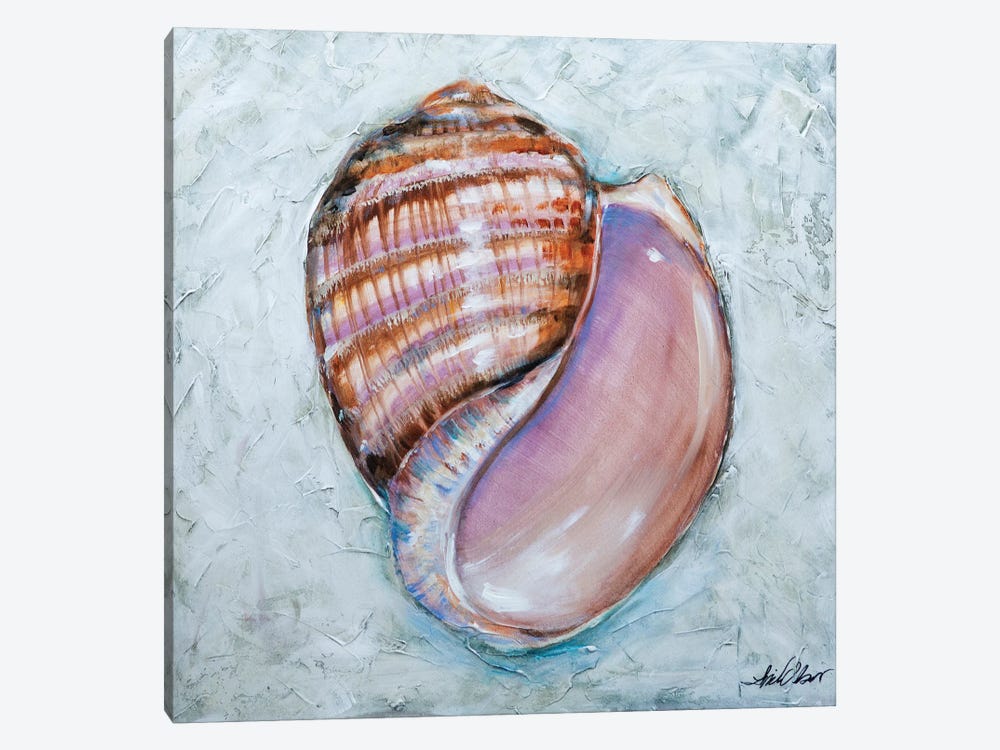 Shell Stripes by Linda Olsen 1-piece Canvas Art