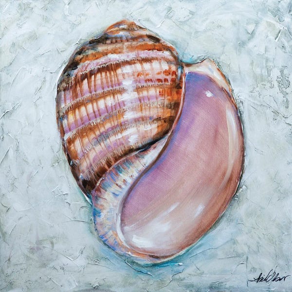 Linda Olsen: Shell Stripes by Linda Olsen