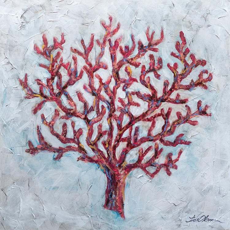 Coral by Linda Olsen wall art