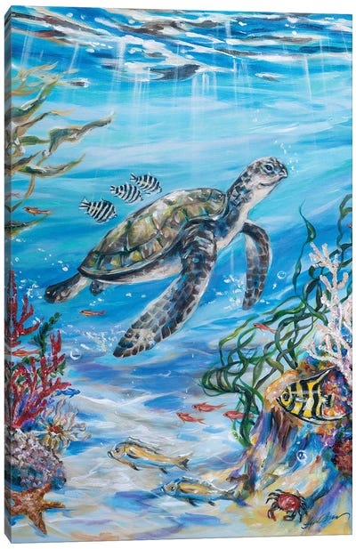 Hitchhikers Canvas Art Print - Turtles