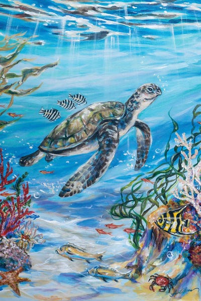 Fish: Hitchhikers by Linda Olsen