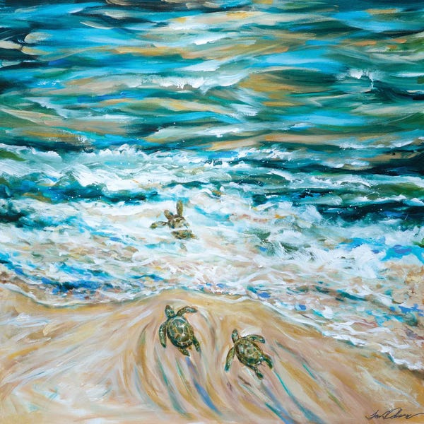Linda Olsen: Baby Sea Turtles' First Plunge by Linda Olsen