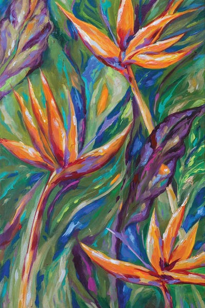 Birds Of Paradise by Linda Olsen canvas print