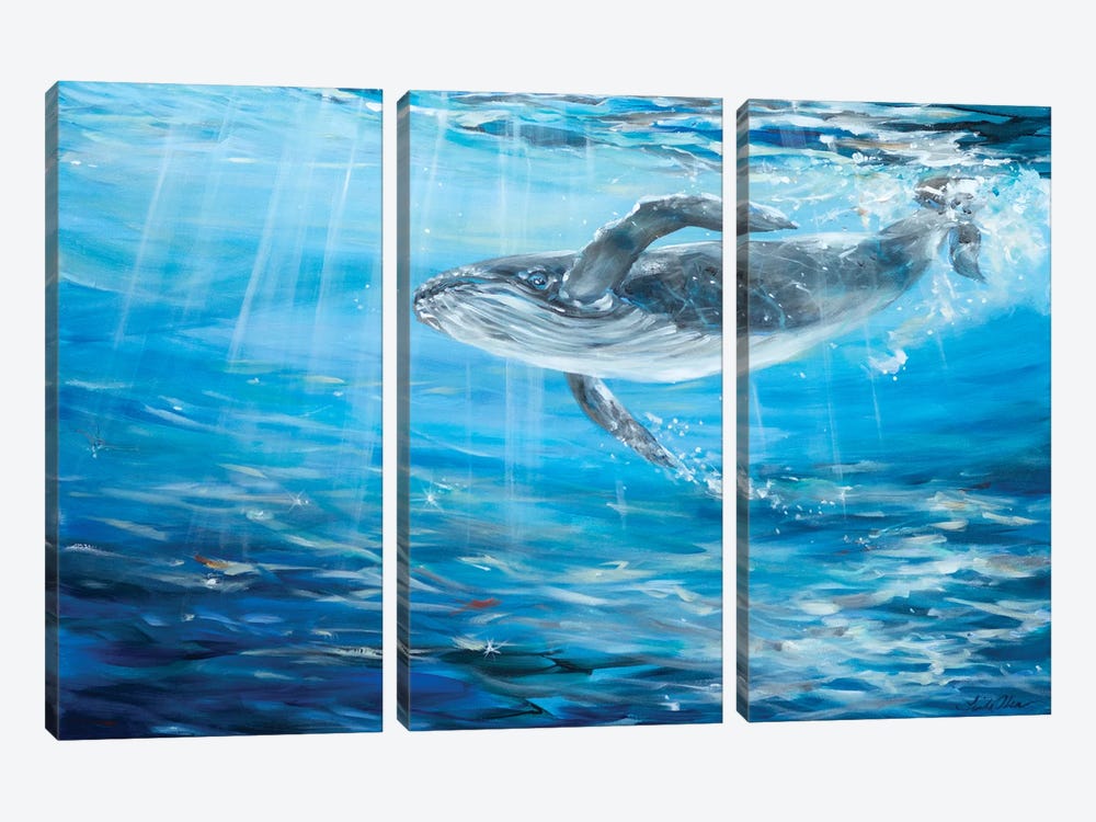 Humpback Cruising by Linda Olsen 3-piece Canvas Wall Art