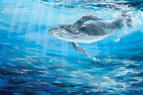Linda Olsen: Humpback Cruising by Linda Olsen